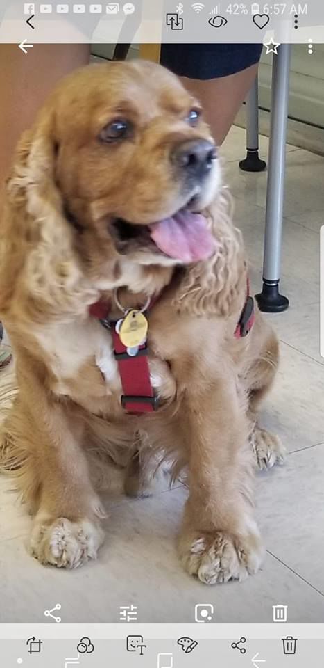 Readers pet photos